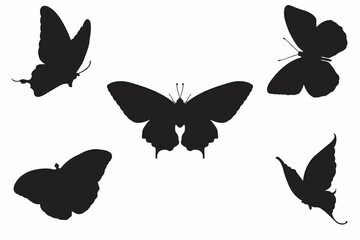 Butterfly silhouette set. Vector illustration