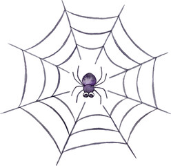 蜘蛛と蜘蛛の巣のイラスト