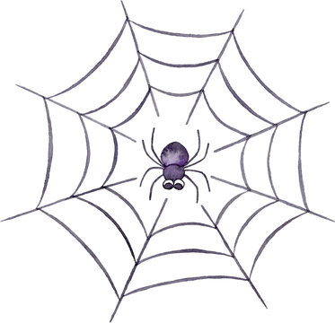 蜘蛛と蜘蛛の巣のイラスト