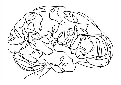 line brain-continuous line drawing
