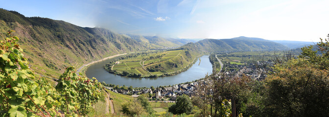 Moselschleife an der Mosel