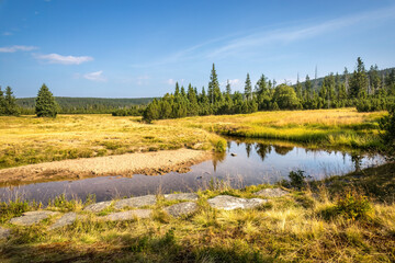 Summer morning by mountain stream under blue sky