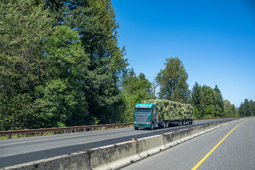 Cab over green big rig semi truck transporting fastened pressed hay on two flat bed semi trailers running on the wide divided highway road