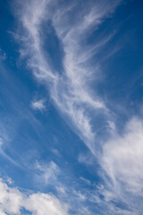 Obraz premium 秋の空