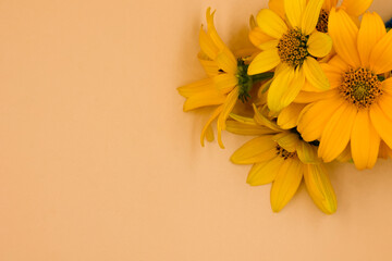 yellow flowers on wooden background