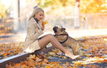 Beautiful woman with perfect legs in pantyhose sitting in the autumn park with a French bulldog dog in the lights of the setting sun.