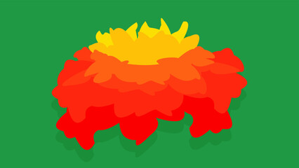 marigold on a green background