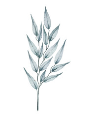 Watercolor floral illustration 