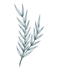 Watercolor floral illustration 