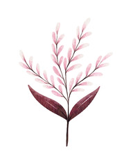 Watercolor floral illustration 