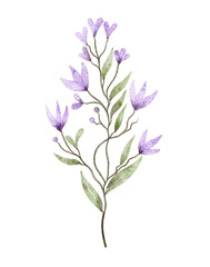 Fototapeta na wymiar Watercolor floral illustration 