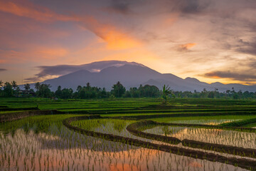 Indonesian scenery, mornings in villages and rice fields, reflections of sunrise and mountains