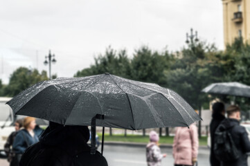 rear view of a person with an umbrella in the rain