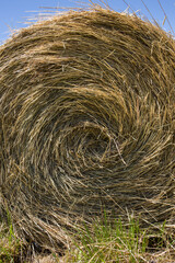 hay bales in the field