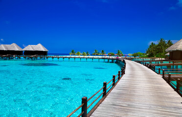 Fototapeta na wymiar Landscape on Maldives island, luxury water villas resort and wooden pier. Beautiful sky and ocean and beach with palms background for summer vacation holiday and travel concept. Luxury travel.