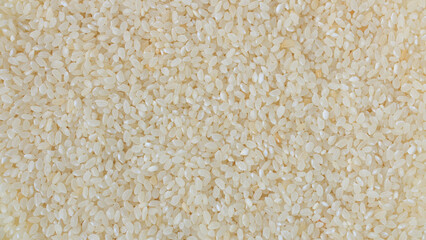 Raw white rice grain food background. Healthy eating. Top view. Selective focus.