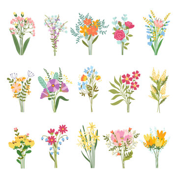 Flower bouquets. Blooming garden and wild plants in beautiful bouquet, blossom bunch and botanical gift vector set
