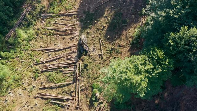 Drone view of harvester working in the forest.	
