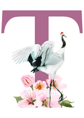 beautiful alphabet T with hand drawn of cherry blossom