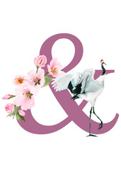 beautiful alphabet & with hand drawn of cherry blossom