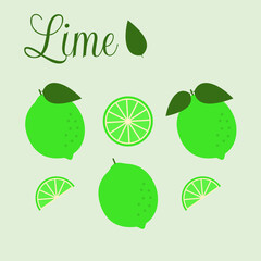 Vector illustration. Lime collection in a flat style.