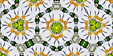 a decorative floral digital kaleidoscope pattern 