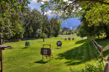 Archery targets on a green field