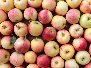 Close-up of pile of ripe yellow red yellow apples 