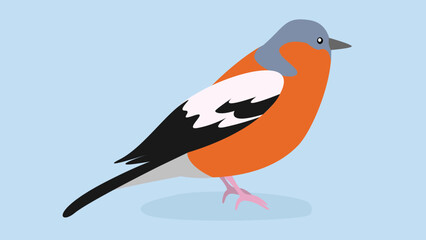 bullfinch on a blue background