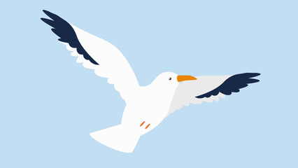 seagull in flight in the sky