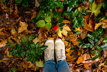 autumn leaves on the ground with legs in light boots