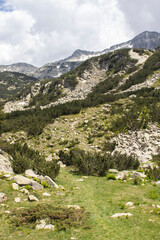 Summer landscape of Pirin Mountain near Muratovo lake, Bulgaria