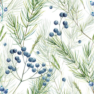 Square seamless pattern with watercolor hand painted winter plants on white background. Christmas themed fir tree branches and berry tree twigs