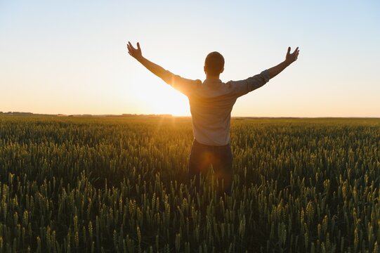 Sunrise Or Sunset Picture Of Guy With Raised Hands Looking At Sun And Enjoying Daytime. Adult Man Stand Alone In Middle Of Ripe Wheat Field. Farmer Or Egricultural Guy