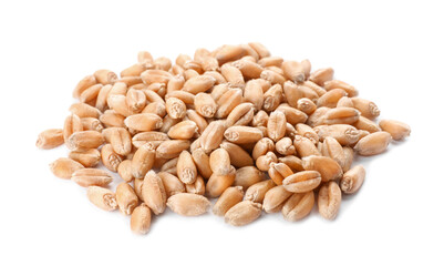 Pile of wheat grains on white background