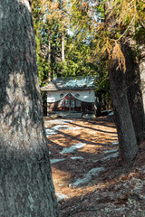 traditional Japanese shrine temple in a forest in Nozawa Monkey Park