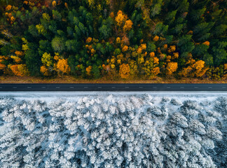Aerial view of a road through the forest in fall or autumn and winter