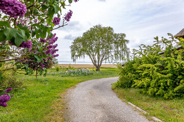 Schöner Fahrradweg im grünen vor sommerlicher Kulisse