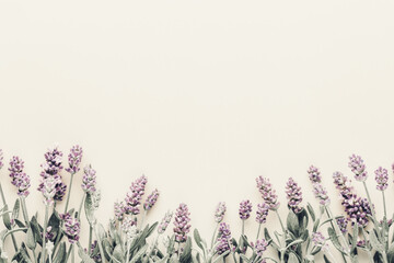 Flowers composition, frame made of lavender flowers on pastel background.
