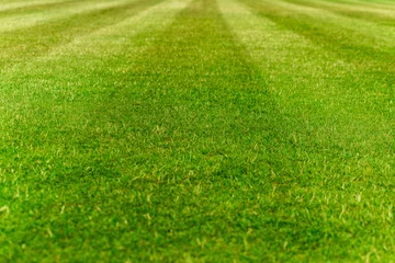 Fotobehang cut stripes on the field, green turf © irontrybex