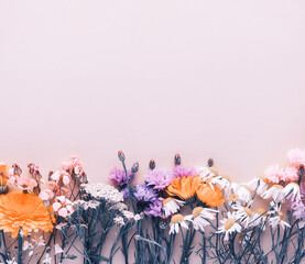 Alternative medicine. Medicinal herbs flowers, on a pastel background. Top view, copy space, banner.