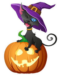 Black cat in witch hat sits on halloween pumpkin jack lantern. Halloween illustration. Cartoon characters