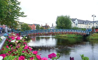 Sligo, Ireland. View of Garavogue River adorned with flowers in bloom and featuring Bridge of Life