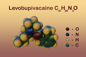 Structural chemical formula and space-filling molecular model of levobupivacaine, a long-acting local anesthetic drug belonging to the amino amide group. 3d illustration