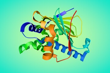 Cryogenic human heat-shock protein HSP 90a-NTD bound to adenine. Ribbons diagram based on protein data bank entry 7s90. Rainbow coloring from N to C. 3d illustration