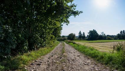polna droga pośrodku łąk i pól, krajobraz wiejski w rejonie zachodniej polski a w tle zielone...