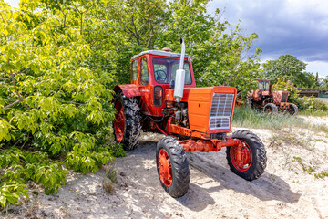 Naklejka premium Oldtimer Traktor in rot