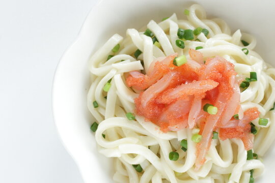 Japanese food, raw squid and Mentaiko sauce on cold Udon noodles for Sumer food image 