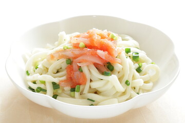 Japanese food, raw squid and Mentaiko sauce on cold Udon noodles for Sumer food image 