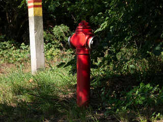 Hydrant stojący przy zalesionej drodze w obszarze wiejskim zachodniej Polski o letniej porze  - obrazy, fototapety, plakaty